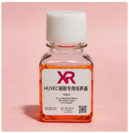 永生化HUVEC细胞完全培养基