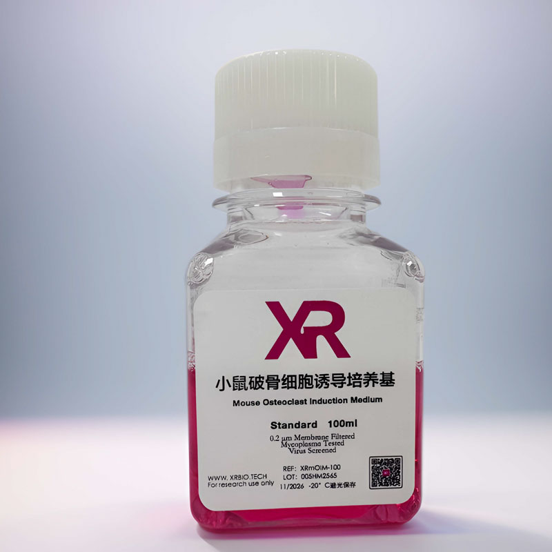 小鼠破骨细胞诱导培养基