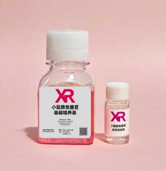 西瑞无限(XR)(images 4)