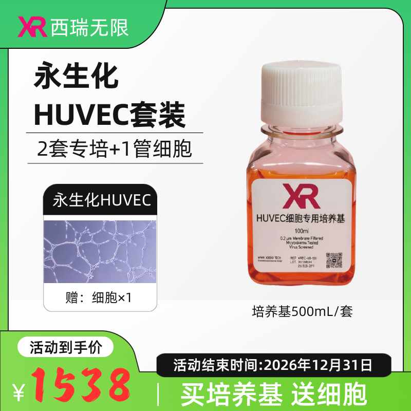 永生化HUVEC细胞完全培养基