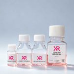 iPSC分化心脏类器官试剂盒