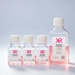 iPSC分化全脑类器官试剂盒