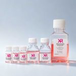 iPSC分化血管化肺类器官试剂盒