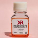 内皮细胞完全培养基