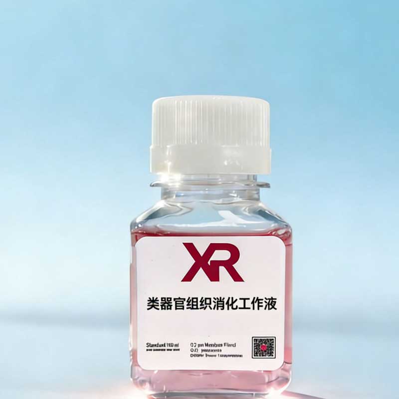 类器官组织消化液 类器官组织消化液