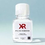 hESC/iPSC专用无蛋白冻存液