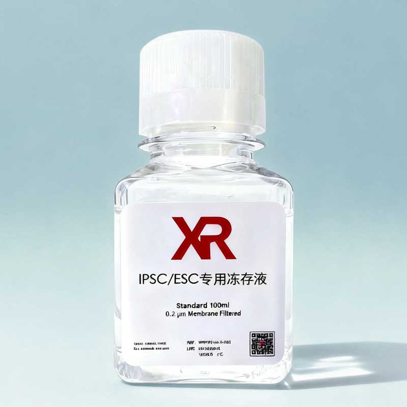hESC/iPSC专用无蛋白冻存液 hESC/iPSC专用无蛋白冻存液