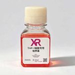 THP-1细胞专用培养基