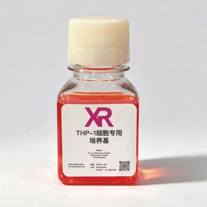 THP-1细胞专用培养基 THP-1细胞专用培养基