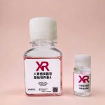 人胃癌类器官培养基套装